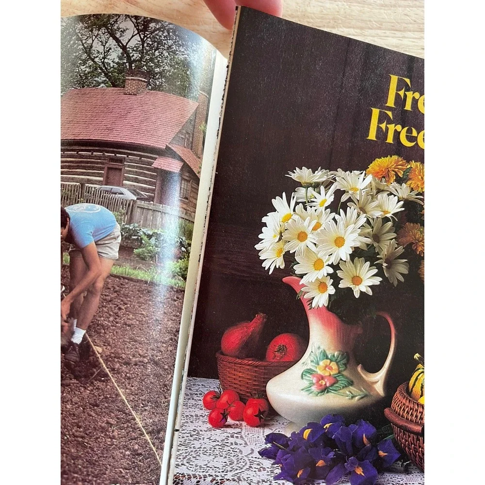 1984 February Southern Living‎ Magazine, 217 Pages, Vintage, Good Condition